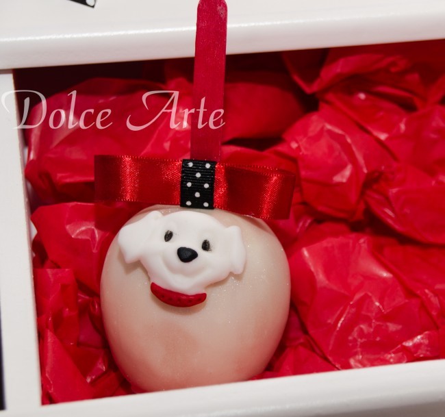 Maçã de Chocolate Pet