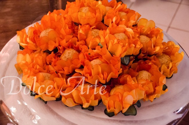 15 Anos Porta Romana