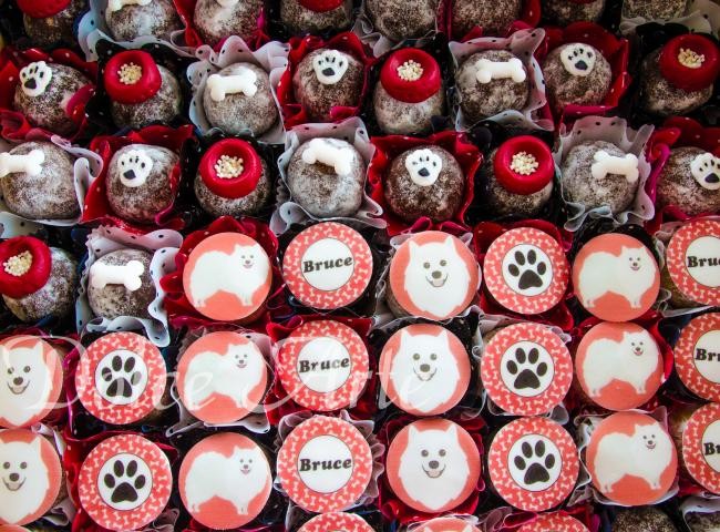 Doces Decorados Pet