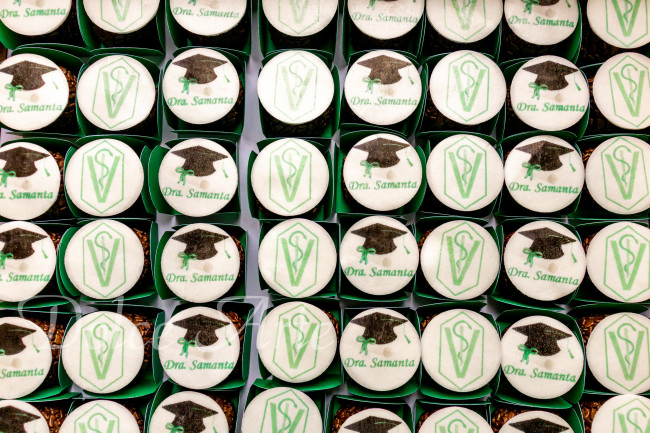 Doces Decorados com Pastilha de Açúcar Formatura Veterinária