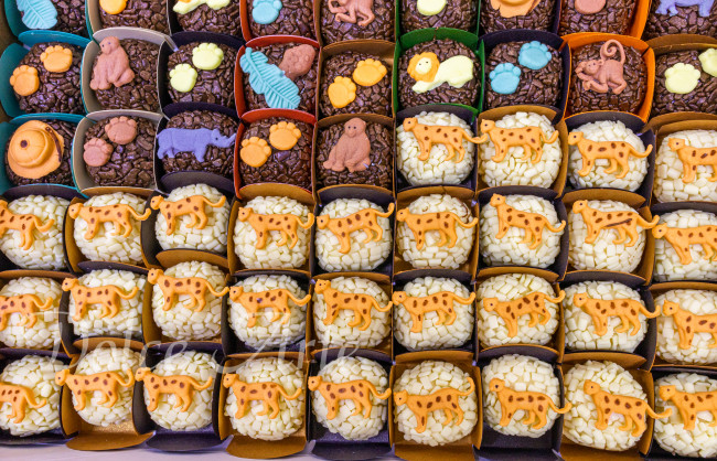 Doces decorados Safari