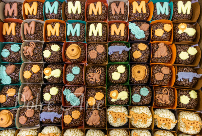 Doces decorados Safari